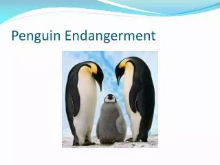 Penguin Endangerment