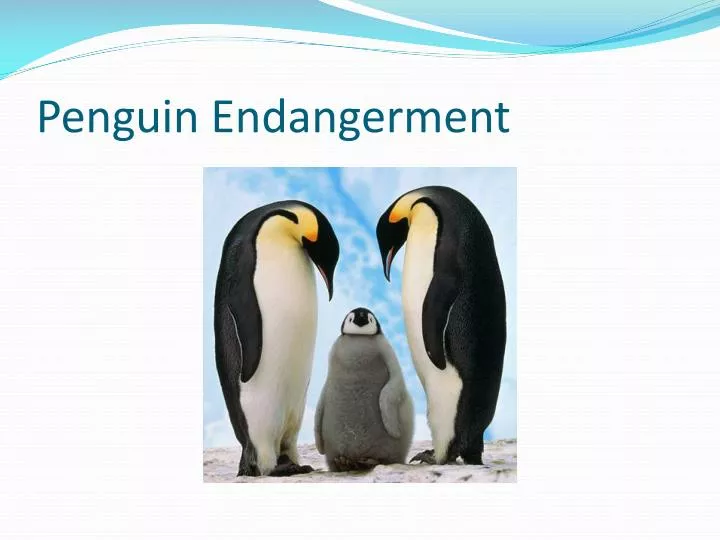 penguin endangerment