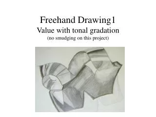 Freehand Drawing1 Value with tonal gradation (no smudging on this project)