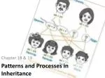 Patterns and Processes in Inheritance - slide 1