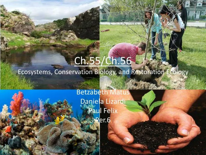 ch 55 ch 56 ecosystems conservation biology and restoration ecology