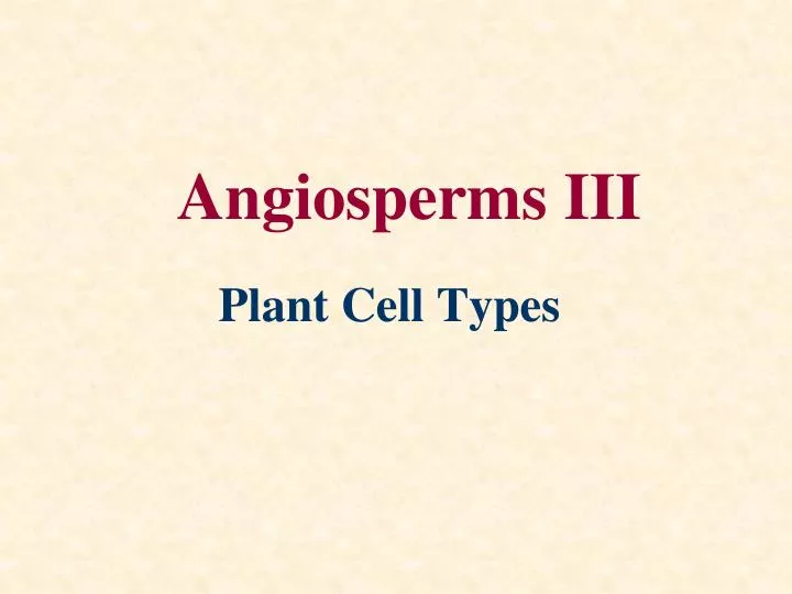 angiosperms iii