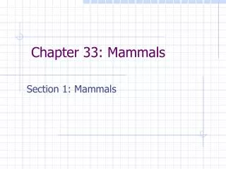 Chapter 33: Mammals
