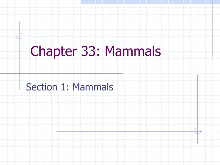 chapter 33 mammals