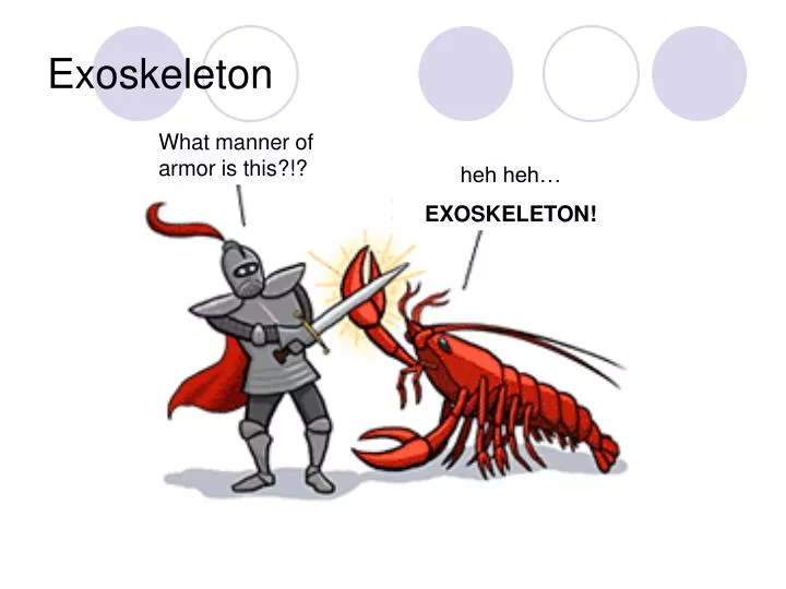 exoskeleton