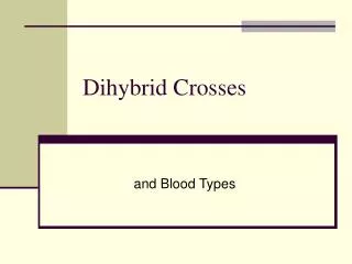 Dihybrid Crosses