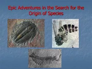 Epic Adventures in the Search for the Origin of Species