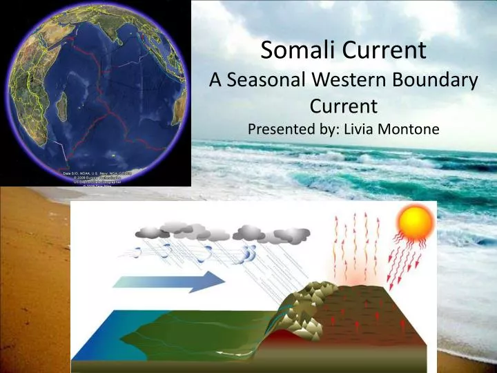 somali current a seasonal western boundary current presented by livia montone
