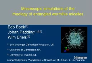 Mesoscopic simulations of the rheology of entangled wormlike micelles