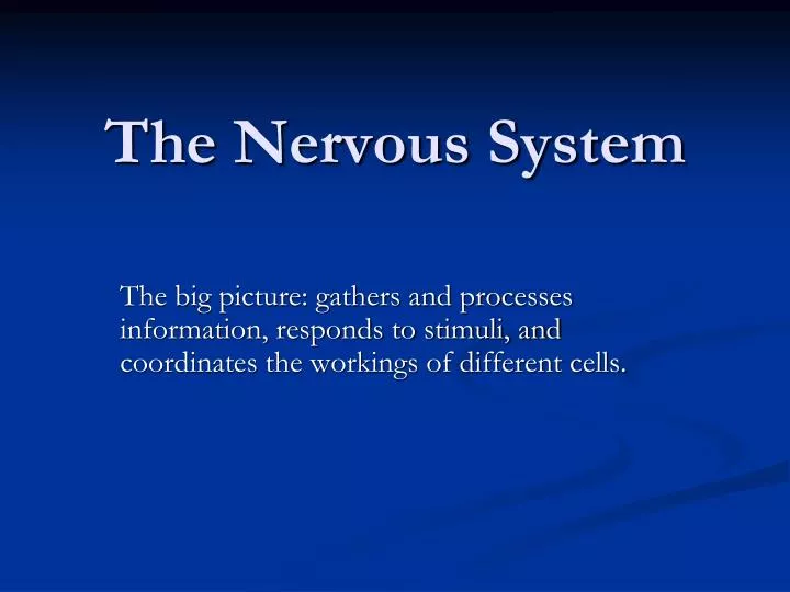 the nervous system