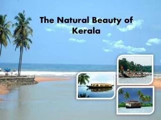 The Natural Beauty of Kerala