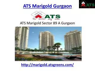 ATS Marigold Gurgaon Sec 89 A