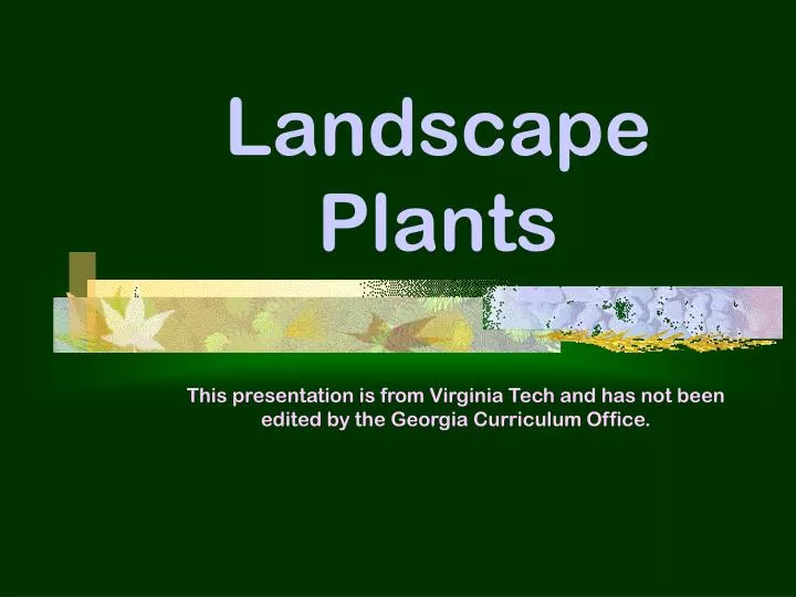 landscape plants
