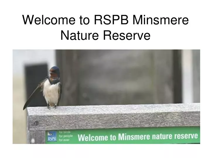 welcome to rspb minsmere nature reserve