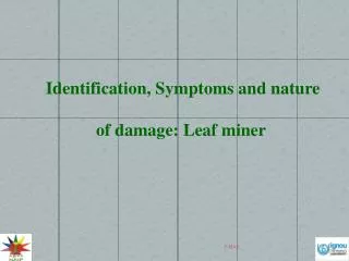 Identification, Symptoms and nature of damage: Leaf miner