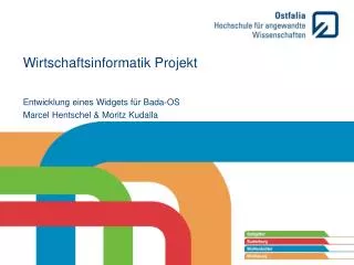 wirtschaftsinformatik projekt