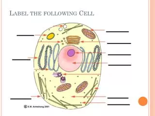 Label the following Cell