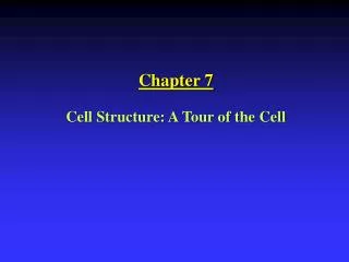 Chapter 7 Cell Structure: A Tour of the Cell