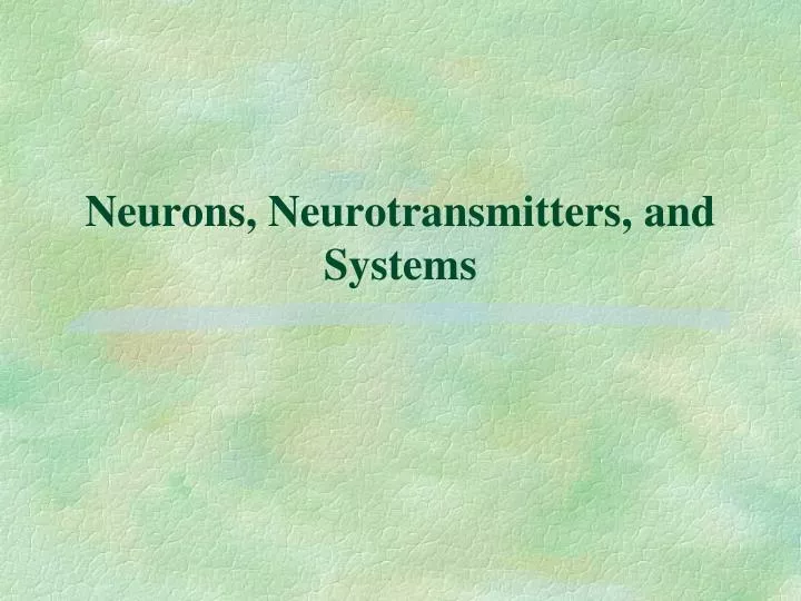 neurons neurotransmitters and systems