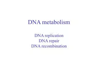 DNA metabolism DNA replication DNA repair DNA recombination