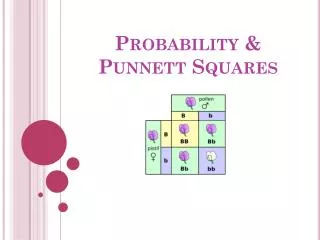 Probability &amp; Punnett Squares