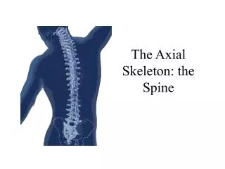 The Axial Skeleton: the Spine
