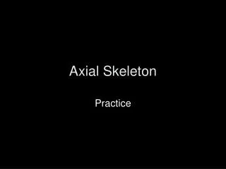 Axial Skeleton