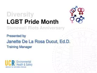 Diversity LGBT Pride Month Stonewall Riots Anniversary