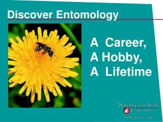 Discover Entomology