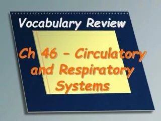 Vocabulary Review