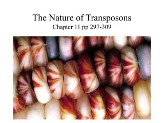 The Nature of Transposons Chapter 11 pp 297-309