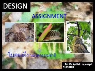 assignment