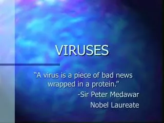 VIRUSES