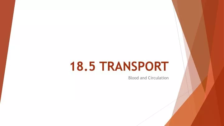 18 5 transport