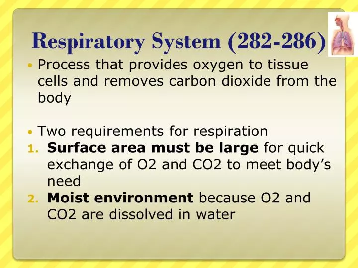 respiratory system 282 286