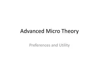 Advanced Micro Theory