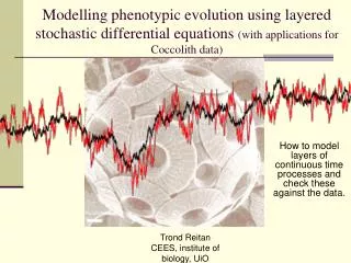 How to model layers of continuous time processes and check these against the data.