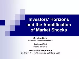 Investors' Horizons and the Amplification of Market Shocks