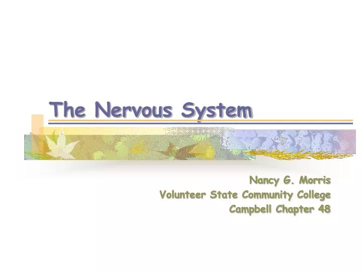 the nervous system