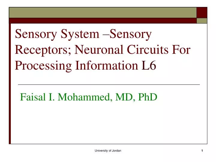 sensory system sensory receptors neuronal circuits for processing information l6