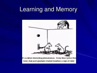 Learning and Memory