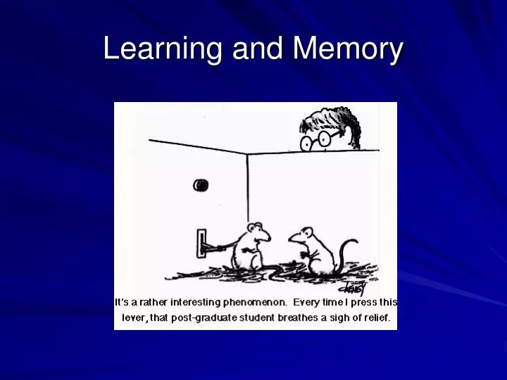 learning and memory powerpoint presentation