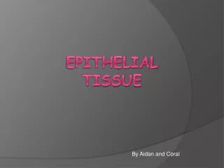 epithelial tissue