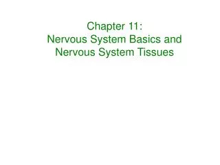 Chapter 11: Nervous System Basics and Nervous System Tissues