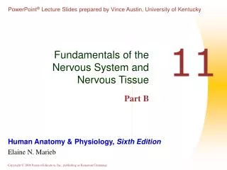 Fundamentals of the Nervous System and Nervous Tissue Part B