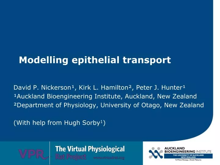 modelling epithelial transport