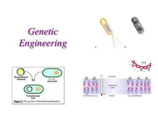 genetic engineering