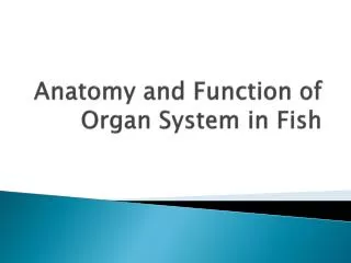 Anatomy and Function of Organ System in Fish