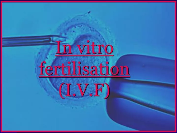 in vitro fertilisation i v f