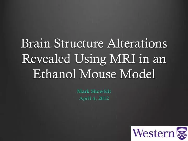 brain structure alterations revealed using mri in an ethanol mouse model